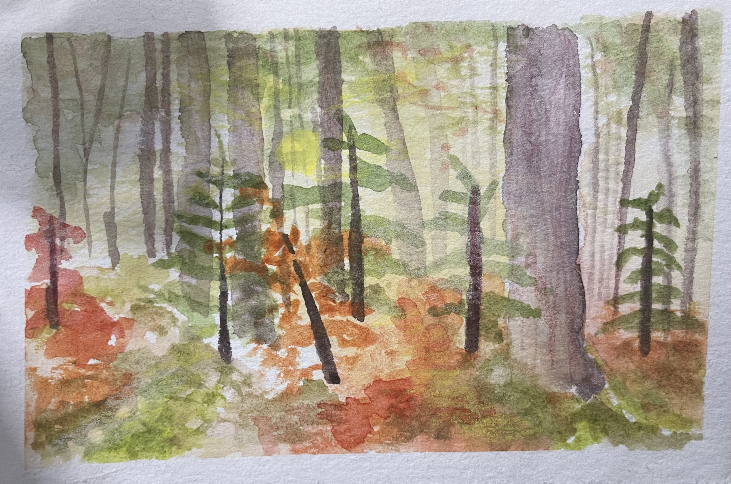 A Forest by Lily Selthofner. watercolor on paper, 5"x7"